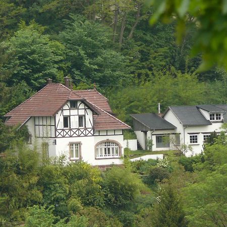 La Dependance De La Villa Des Oiseaux - La Petite Pierre ภายนอก รูปภาพ