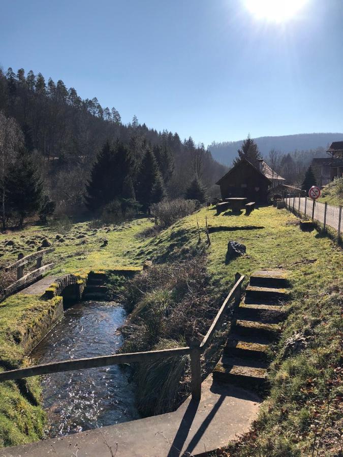 La Dependance De La Villa Des Oiseaux - La Petite Pierre ภายนอก รูปภาพ