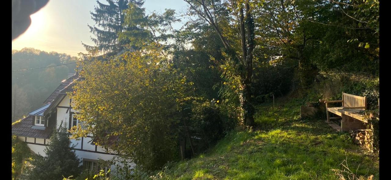 La Dependance De La Villa Des Oiseaux - La Petite Pierre ภายนอก รูปภาพ