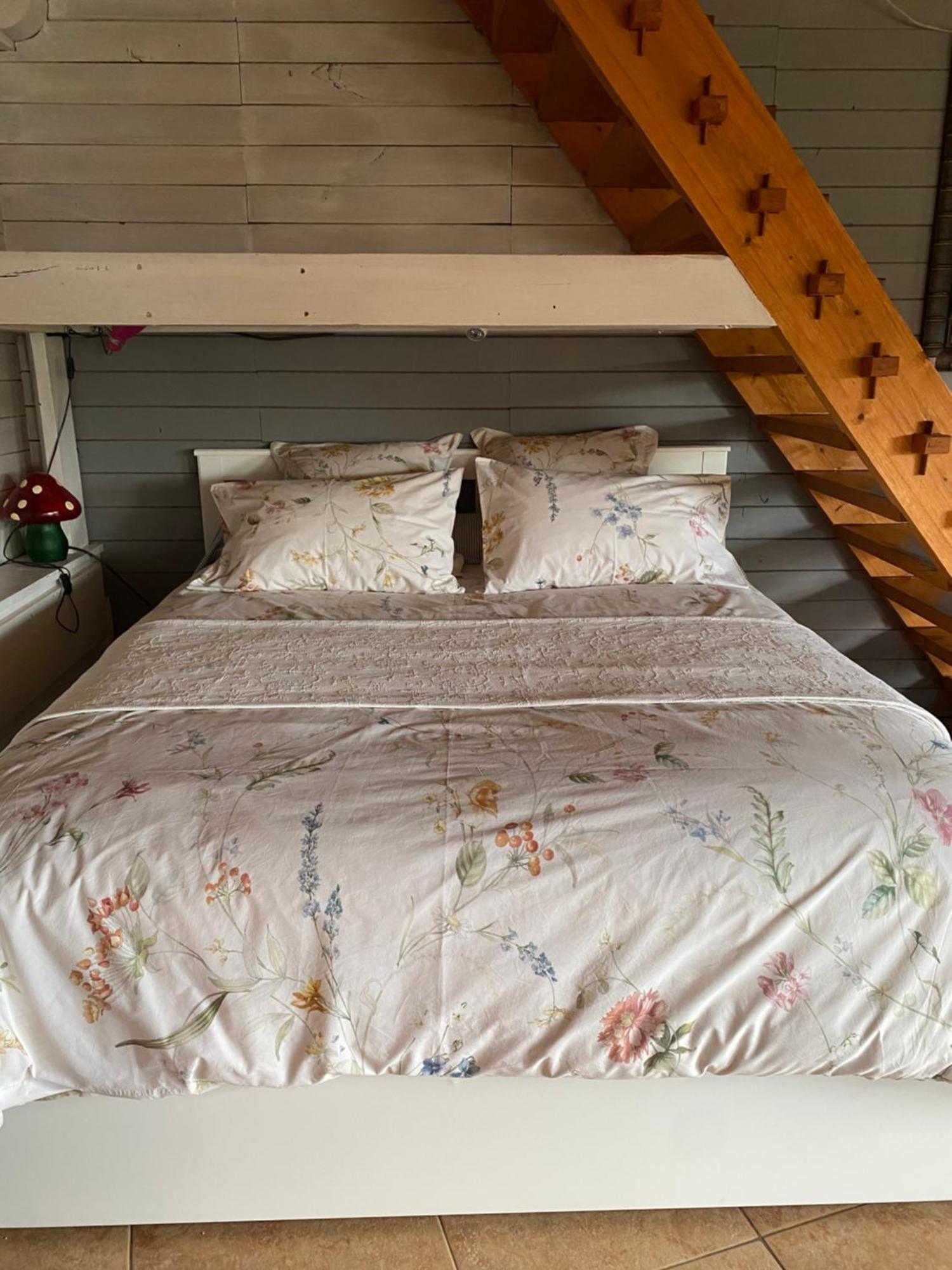 La Dependance De La Villa Des Oiseaux - La Petite Pierre ภายนอก รูปภาพ