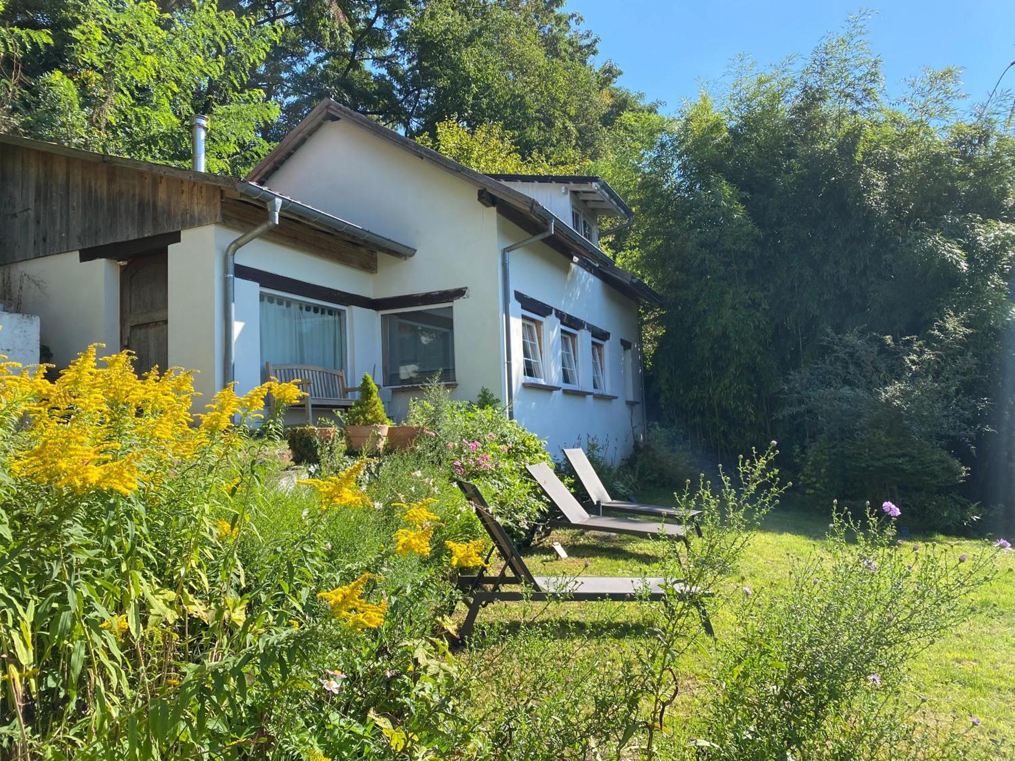 La Dependance De La Villa Des Oiseaux - La Petite Pierre ภายนอก รูปภาพ