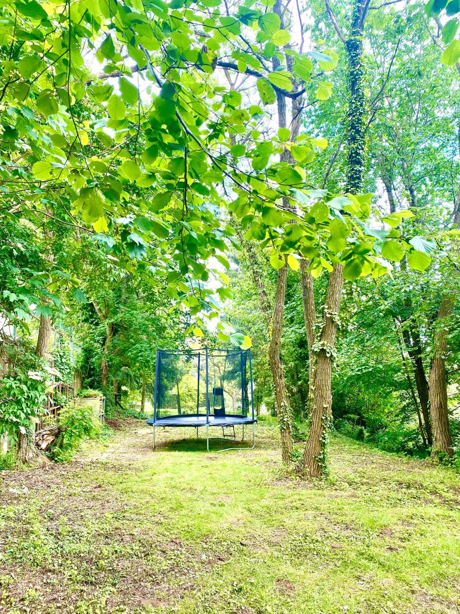 La Dependance De La Villa Des Oiseaux - La Petite Pierre ภายนอก รูปภาพ