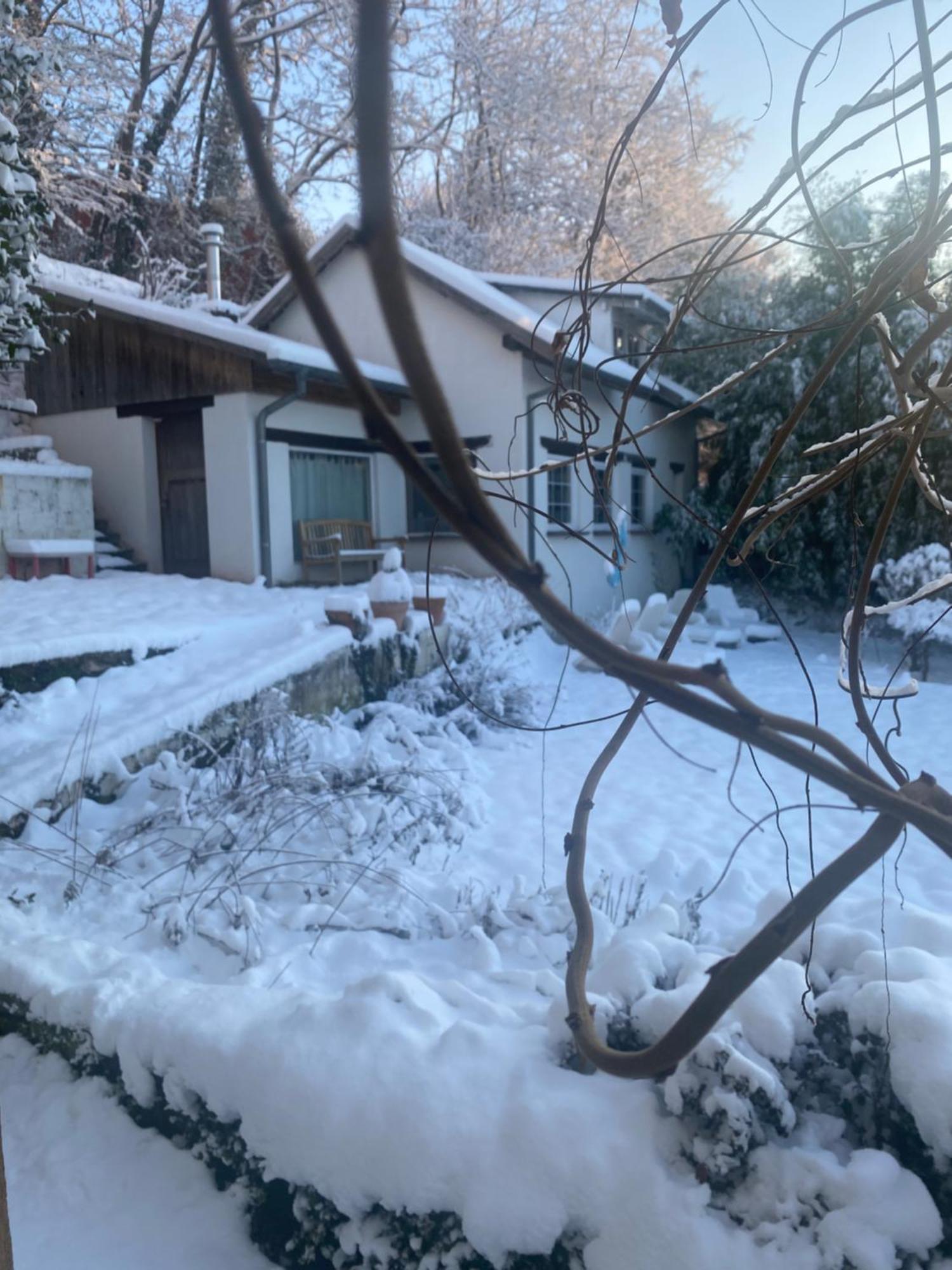 La Dependance De La Villa Des Oiseaux - La Petite Pierre ภายนอก รูปภาพ