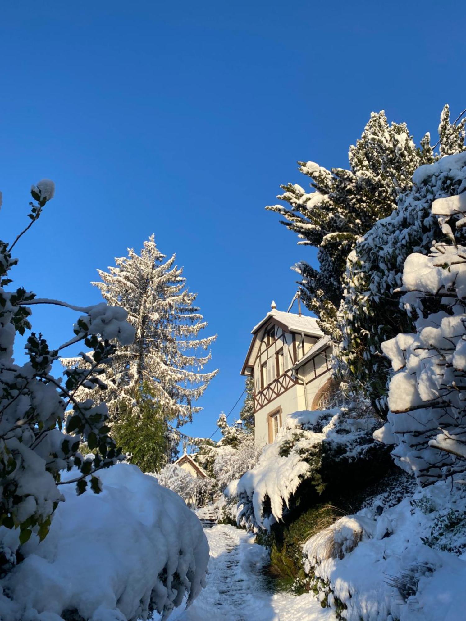 La Dependance De La Villa Des Oiseaux - La Petite Pierre ภายนอก รูปภาพ