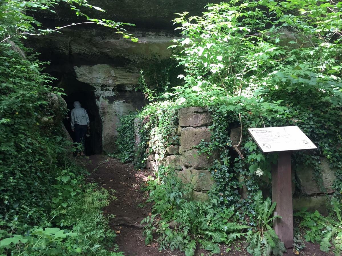 La Dependance De La Villa Des Oiseaux - La Petite Pierre ภายนอก รูปภาพ