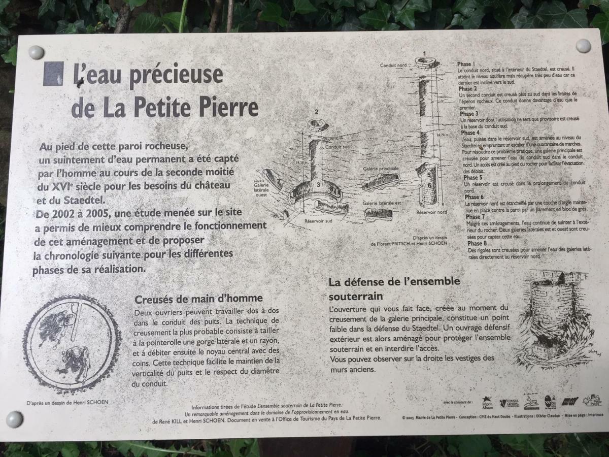 La Dependance De La Villa Des Oiseaux - La Petite Pierre ภายนอก รูปภาพ