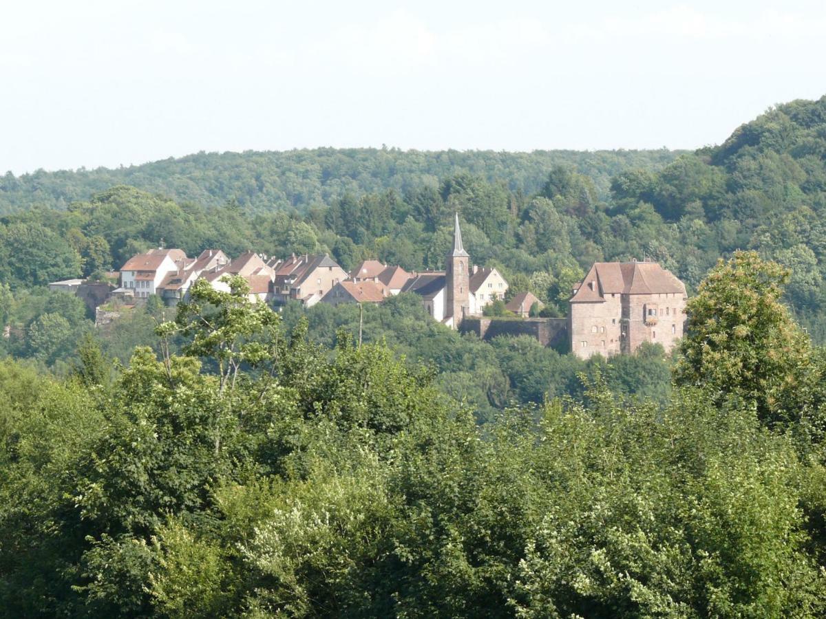 La Dependance De La Villa Des Oiseaux - La Petite Pierre ภายนอก รูปภาพ