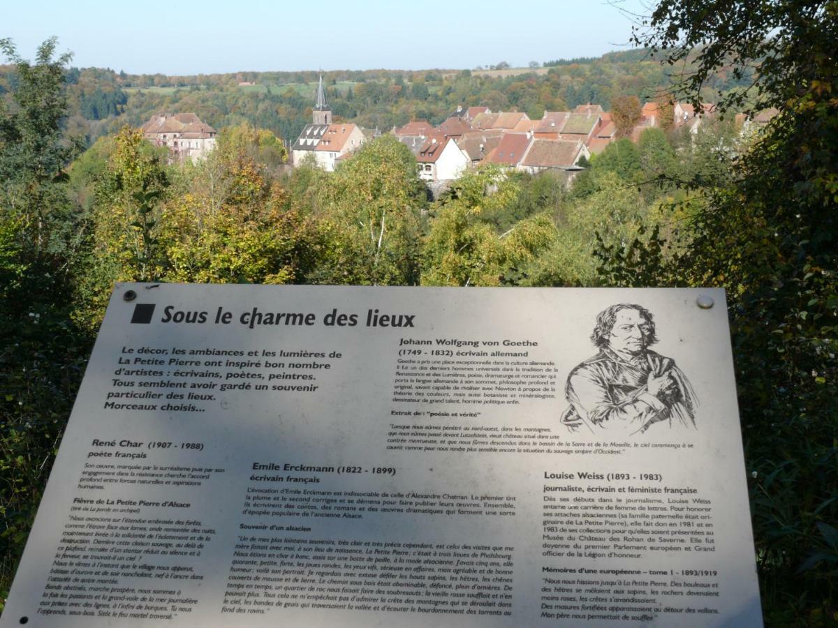 La Dependance De La Villa Des Oiseaux - La Petite Pierre ภายนอก รูปภาพ