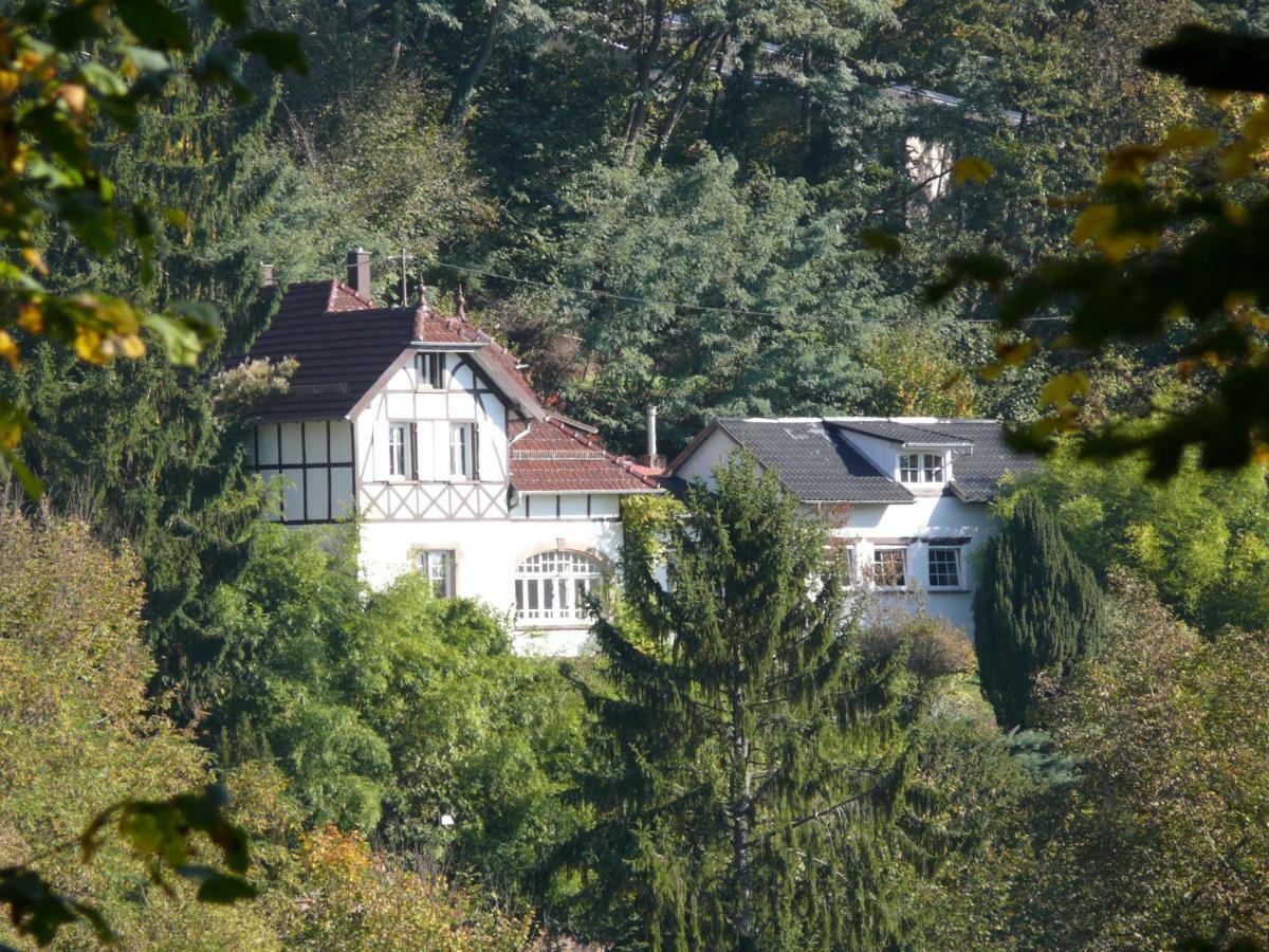 La Dependance De La Villa Des Oiseaux - La Petite Pierre ภายนอก รูปภาพ