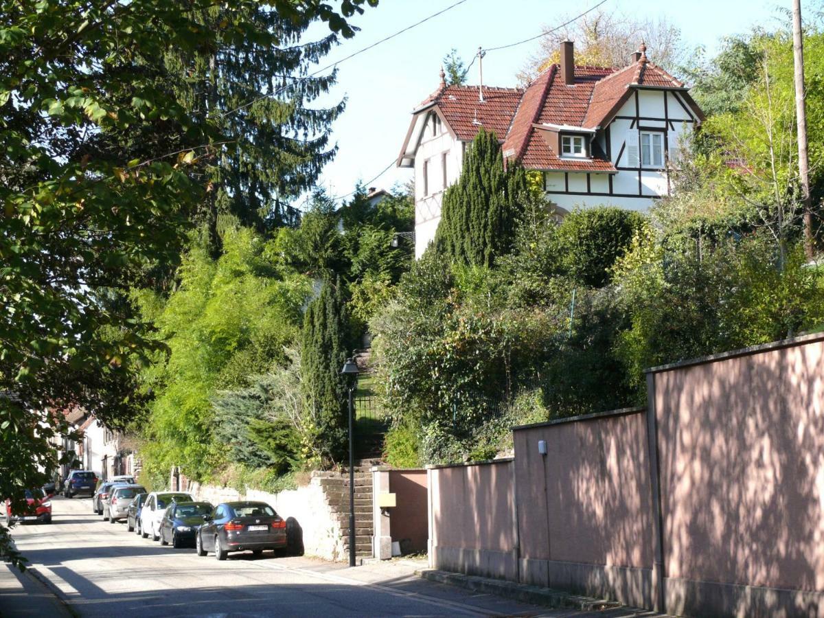 La Dependance De La Villa Des Oiseaux - La Petite Pierre ภายนอก รูปภาพ