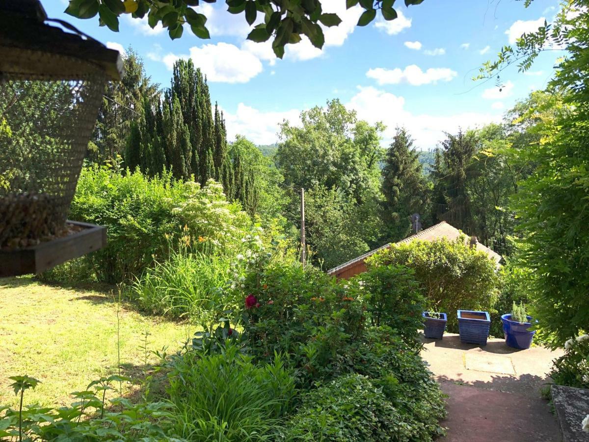 La Dependance De La Villa Des Oiseaux - La Petite Pierre ภายนอก รูปภาพ